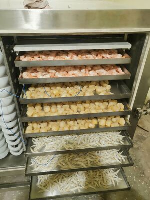 Automatische industriële vriesdroger met een batchcapaciteit van 1000 kg, ideaal voor de conservering van farmaceutische voedingsmiddelen en chemische producten