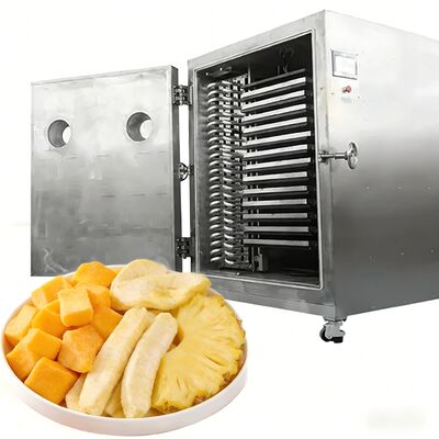 100 kg 200 kg Grote capaciteit Lyophilizer Commerciële vriesdroger