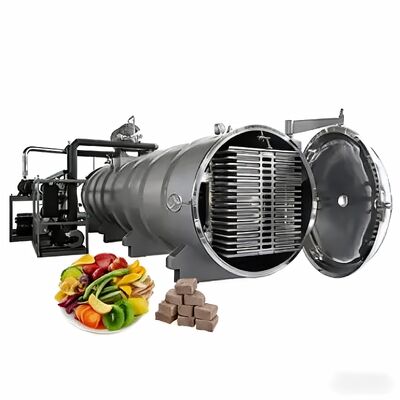 Vriesdroger met voeding 220V380V3PH en elektrisch verwarmingssysteem, ontworpen voor vriesdroogprocessen