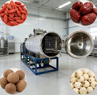 PLC-besturingssysteem Vacuüm vriesdrogemachine met kamer Grootte 12700 2600 3300mm perfect voor de farmaceutische voedsel- en chemische industrie