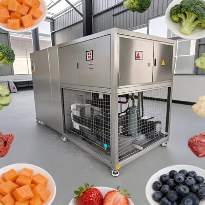 3800 1550 1850mm Voedsel Vacuüm Vriestel Droger PLC Besturingssysteem 2600Kg Capaciteit Perfect voor Grootschalige Voedsel Vriestel Drogen