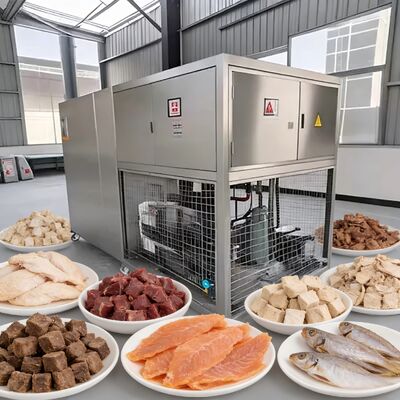 Voedsel vacuüm vriesdroger met vriesdroging temperatuur bereik van min 40 tot 80 graden en Baosi of  vacuümpomp voor de werking