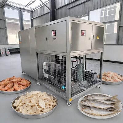 100kg partij Voedsel Vacuüm Vriesdroger met Baosi of  Vacuümpomp Vriesdrogen Temperatuur min 40 tot 80 graden Celsius