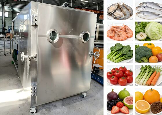 200 kg voedingsvacuüm vriesdroger met aangepast spannings- en koelsysteem ideaal voor voedselverwerking