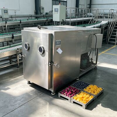 Tweefasige Rotary Vane Vacuum Pump Groentenvriezetroger EXW Automatische werkingsmodus Ontworpen voor uitdroging en verlengde houdbaarheid